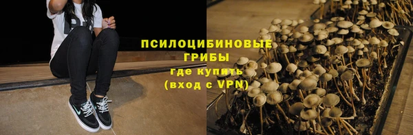 молекула духа Семикаракорск