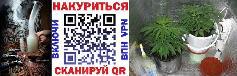 Шишки марихуана планчик  Мариинск 
